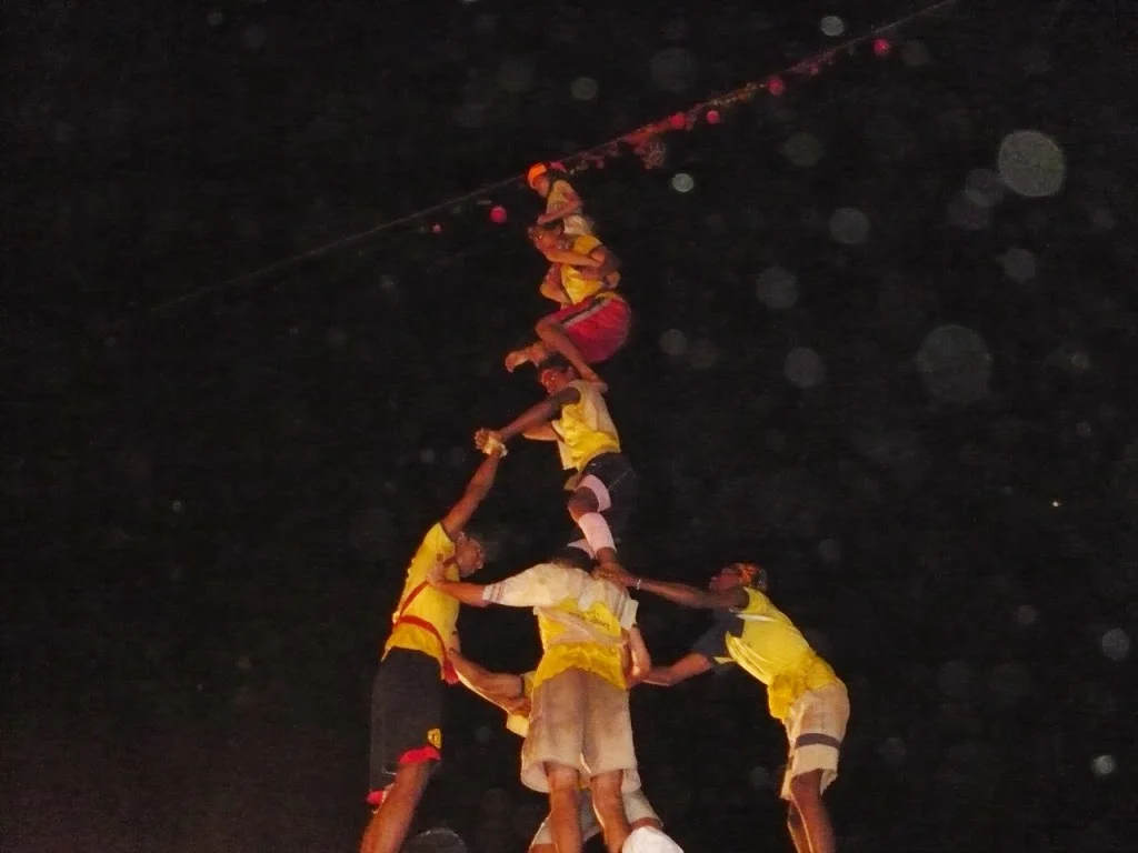 Dahi Handi - 2008