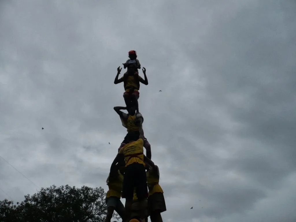 Dahi Handi - 2008